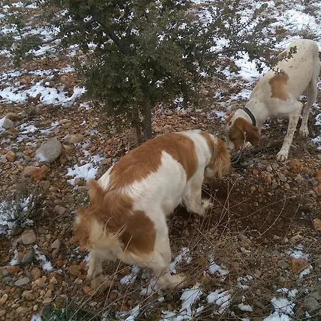 La Casa De La Estacion Sarrión