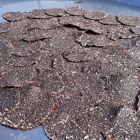 La Casa De La Estacion Gasthuis