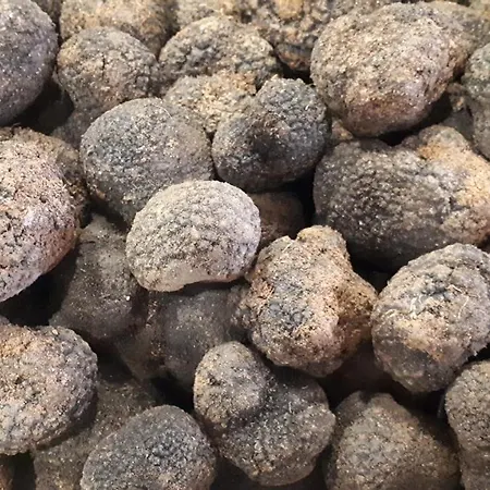 Gasthuis La Casa De La Estacion 3*