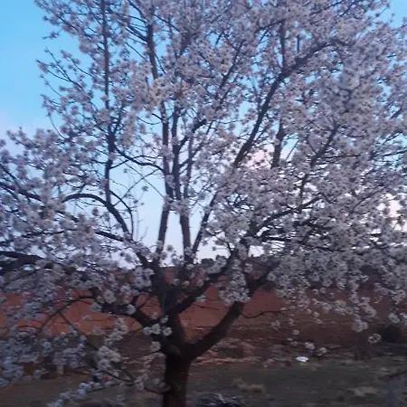 La Casa De La Estacion 3* Sarrión