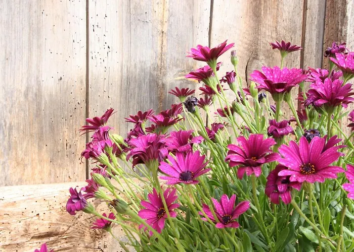 La Casa De La Estación 3*