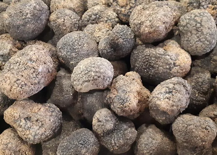 Pensión La Casa De La Estación 3*