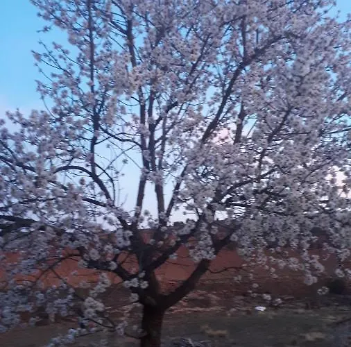 La Casa De La Estacion 3* Sarrión